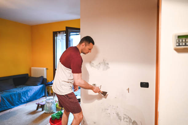 Best Crawl Space Mold Removal  in Northdale, FL
